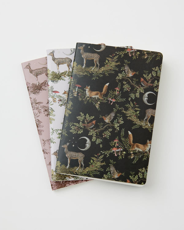 A Night's Tale Pack 3 Notebooks