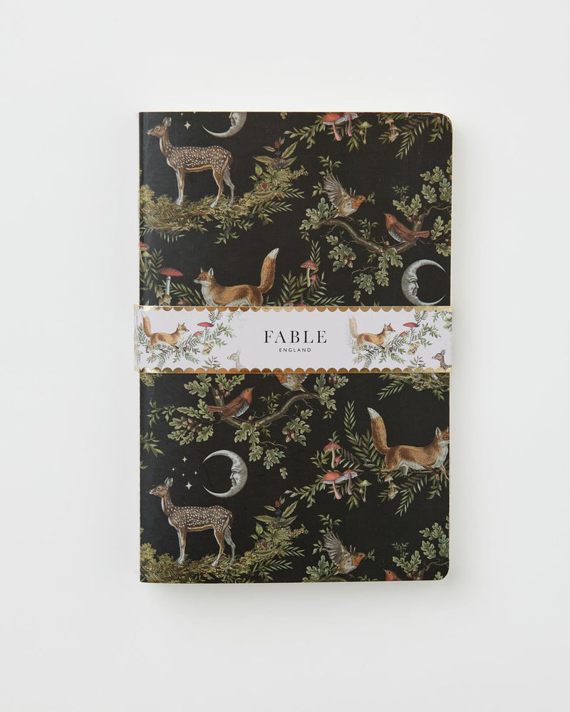 A Night's Tale Pack 3 Notebooks